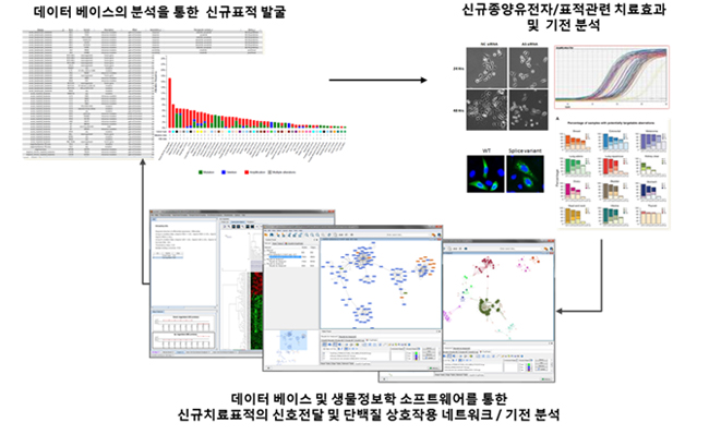 데이터 베이스 및 생물정보학 소프트웨어를 통한 신규치료표적의 신호전달 및 단백질 상호작용 네트워크/기전분석
