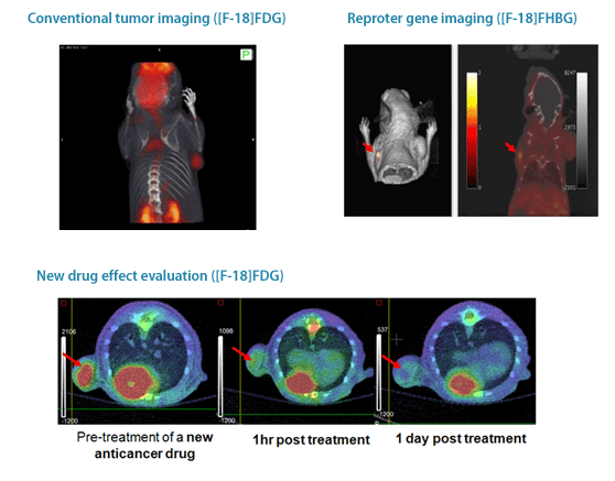 Conventional tumor imaging([F-18]FDG), Reproter gene imaging([F-18]FHBG), New grug effect evaluation([F-18]FDG) : Pre-treatment of a new anticancer grug, 1hr post treatment, 1 day post treatment
