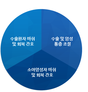 수술환자 마취 및 회복 간호, 수술 및 암성 통증 조절, 소아양성자 마취 및 회복 간호