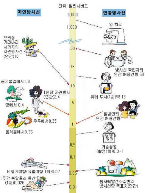 방사선 방출정도 - 자연방사선(브라질가라바리시가지의 자연방사선 연간 10, 공기흡입에서 1.3, 땅에서 0.4, 음식물에서 0.35, 1인당 자연방사 연간 2.4, 비행기여행 유럽여행 1회 0.07, 1주간 북알프스 등산 1회 0.026), 인공방사선(암치료, 방사선 작업자의 연간 허용선량 50, 위에 투시 1회 약 13, 일반인의 연간 허용선량 1, 가슴촬영 1회 0.3 ~1, 원자력발전소주변의 방사선량 목표치 연간 0.05)