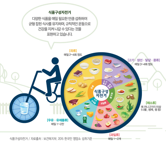 식품구성자전거: 다양한 식품을 매일 필요한 만큼 섭취하여 균형 잡힌 식사를 유지하며, 규칙적인 운동으로 건강을 지겨 나갈 수 있다는 것을 표현하고 있습니다.곡류 매일 2~4회 정도 , 고기·생선·달걀·콩류 매일 3~4회 정도, 채소류 매 끼니 2가지 이상, 과일류 매일 과일 1~2개, 우유 유제품류 매일 1~2잔. 식품구성 자전거/자료출처:보건복지부,2015 한국인 영양소 섭취기준