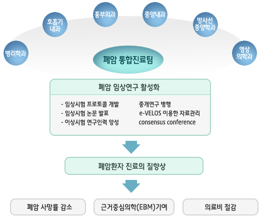 폐암통합진료팀:병리학과, 호흡기내과, 흉부외과, 종양내과, 방사선종양학과, 영상의학과, 폐암 임상연구 활성화(임상시험 프로토콜 개발, 이상시험 연구인력 양성, e-VELOS 이용한 자료관리, 임상시험 논문 발표, 중개연구 병행, consensus conference)-폐암환자 진료의 질 향상-폐암 사망률 감소, 근거중심의학(EBM)기여, 의료비 절감