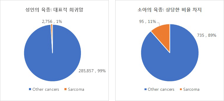 1.성인의 육종: 대표적 희귀암 원형 그래프 - Other cancers : 285,857,99% / Sarcoma 2,756,1%
2.소아의 육종: 상당한 비율 차지 원형 그래프 - Other cancers : 735,89% / Sarcoma 95,11%