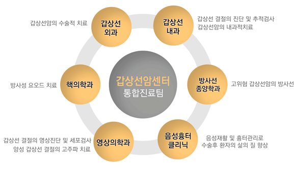 갑상선암센터 통합진료팀: 갑상선외과(갑상선암의 수술적 치료), 갑상선 내과(갑상선 결절의 진단 및 추적검사, 갑상선암의 내과적 치료), 핵의학과(방사성 요오드 치료), 방사선 종양학과(고위험 갑상선암의 방사선 치료), 영상의학과(갑상선 결절의 영상진단 및 세포검사 양성 갑상선 결절의 고주파 치료), 음성흉터클리닉(음성재활 및 흉터관리로 수술후 환자의 삶의 질 향상)