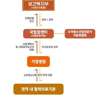 보건복지부(사업추진총괄)→관리/감독→국립암센터(사업운영지원)/소아청소년암전문가 자문위원회→국고보조금 교부→거점병원→소아청소년암 환자 연계치료→권역 내 협력 의료기간 / 권역 내 협력 의료기관→소아청소년암 환자 연계치료→거점병원→사업계획서 및 사업실적보고서 제출→국립암센터(사업운영지원)→진행사항보고→보건복지부(사업추진총괄)