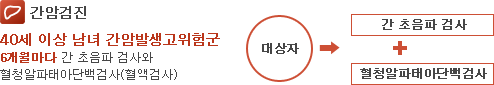 간암검진 : 만40세 이상 고위험군은 1년마다 간 초음파 검사와 혈청알파태아단백검사(혈액검사), 대상자 - 간초음파 검사+형청알파태아단백검사