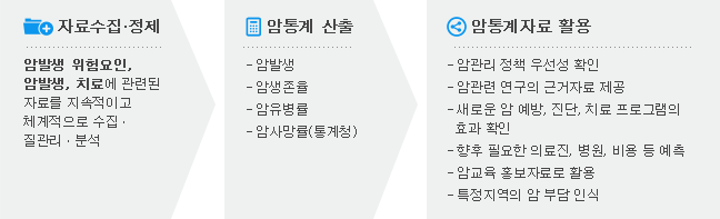 자료수집·정제:암발생 위험요인, 암발생, 치료에 관련된 자료를 지속적이고 체계적으로 수집·질관리·분석/ 암통계산출 : 암발생률, 암생존율, 암유병률, 암사망률(통계청) / 암통계자료활용: 암관리 정책 우선성 확인, 암관련 연구의 근거자료 제공, 새로운 암예방, 진단, 치료 프로그램의 효과확인, 향후 필요한 의료진, 병원, 비용등 예측, 암교육 홍보자료로 활용, 특정지역의 암 부담 인식