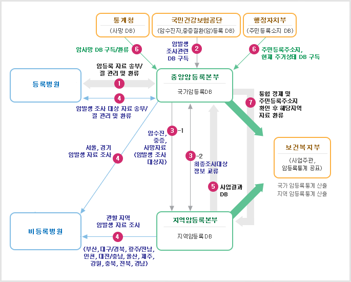 암등록통계사업 운영 체계