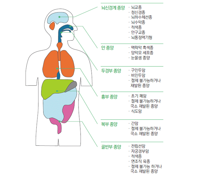 1. 뇌신경계 종양(뇌교증, 청신경초증, 뇌하수체선종, 뇌수막종, 척색종, 안구교종, 뇌동정맥기형), 2. 안 종양(맥락막 흑생종, 망막모 세포종, 눈물샘 종양), 3. 두경부 종양(구인 두암, 비안 두암, 절제 불가능하거나 재발된 종양), 4. 흉부 종양(초기 폐암, 척색증, 절제 불가능하거나 국소 재발된 종양, 식도암), 5. 복부 종양(조기 간암, 절제 불가능하거나 국소 재발된 종양), 6. 골반부 종양(전립선암, 자궁경부암, 척색증, 연조직 육종, 절제 불가능하거나 국소 재발된 종양) 사진