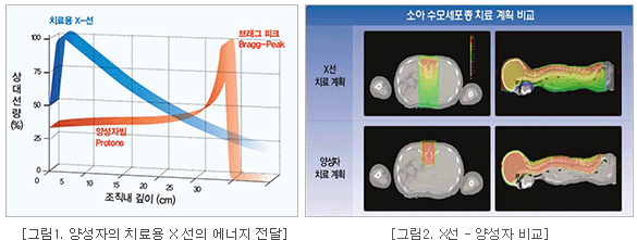 양성자의 치료용 X 선의 에너지 전달