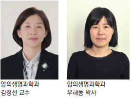 암의생명과학과 김정선 교수·우해동 박사